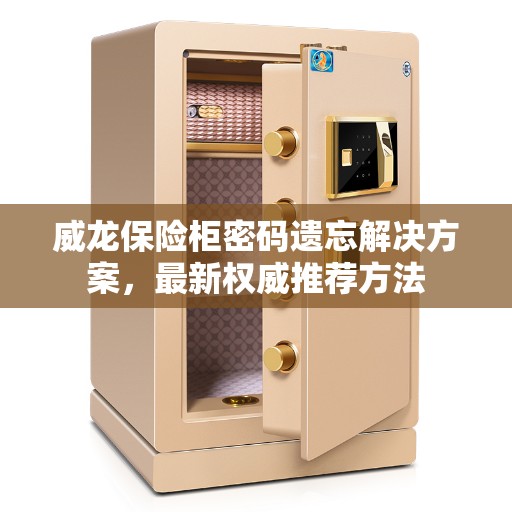 威龙保险柜密码遗忘解决方案，最新权威推荐方法