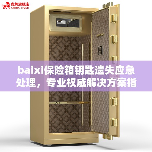baixi保险箱钥匙遗失应急处理，专业权威解决方案指南