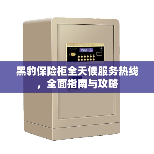 黑豹保险柜全天候服务热线，全面指南与攻略