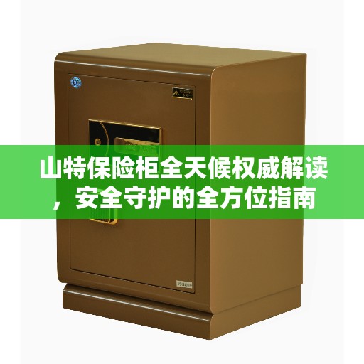 山特保险柜全天候权威解读，安全守护的全方位指南