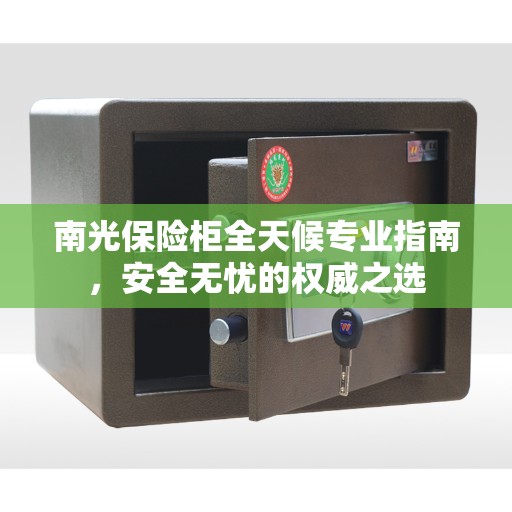 南光保险柜全天候专业指南，安全无忧的权威之选