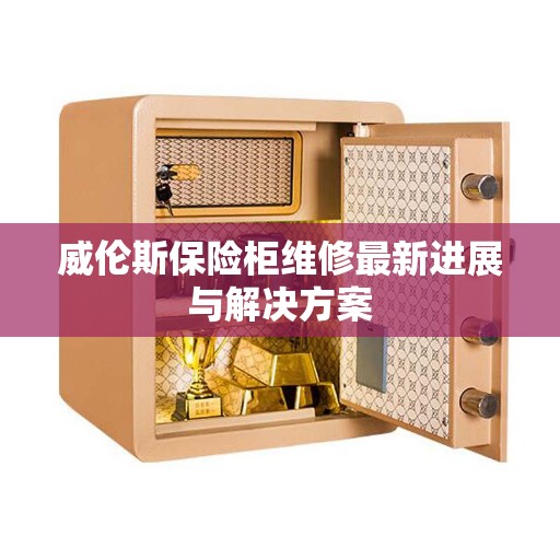 威伦斯保险柜维修最新进展与解决方案