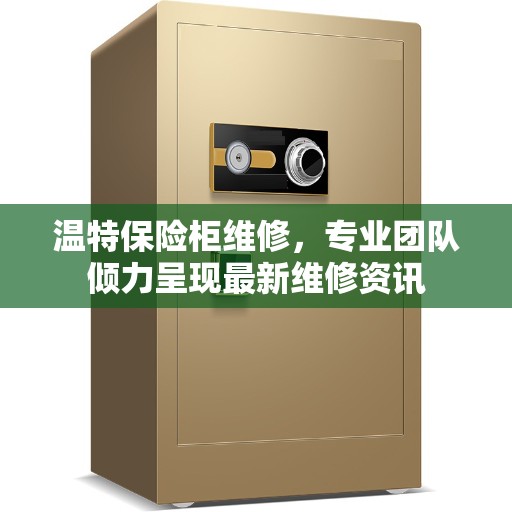 温特保险柜维修，专业团队倾力呈现最新维修资讯