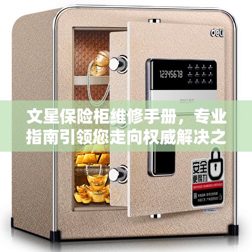 文星保险柜维修手册，专业指南引领您走向权威解决之道