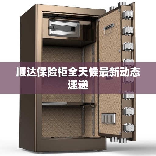 顺达保险柜全天候最新动态速递
