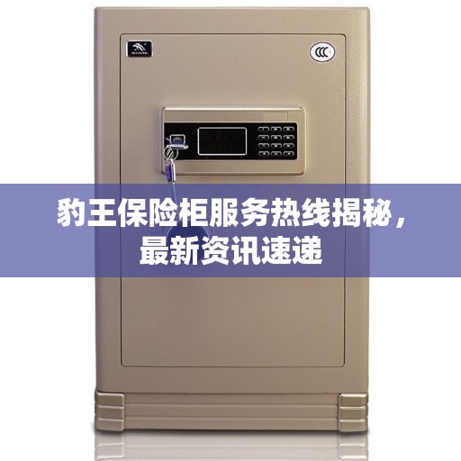 豹王保险柜服务热线揭秘，最新资讯速递