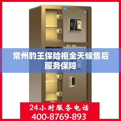 常州豹王保险柜全天候售后服务保障