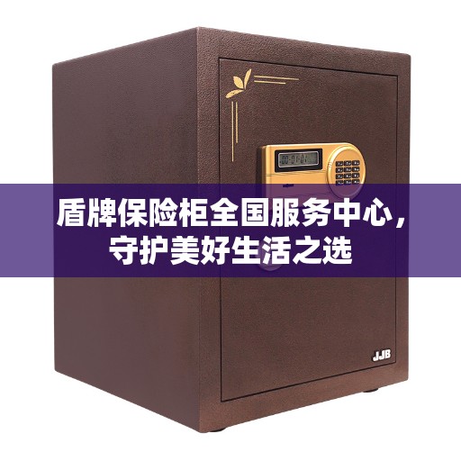 盾牌保险柜全国服务中心，守护美好生活之选