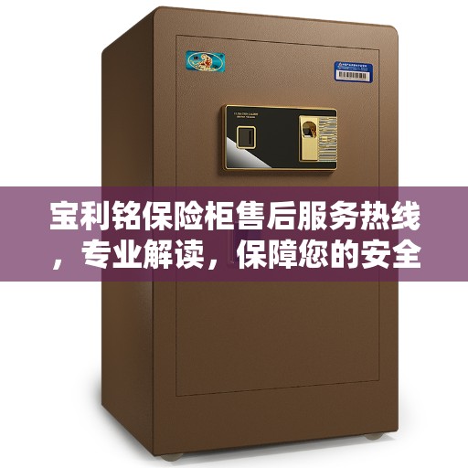 宝利铭保险柜售后服务热线，专业解读，保障您的安全需求