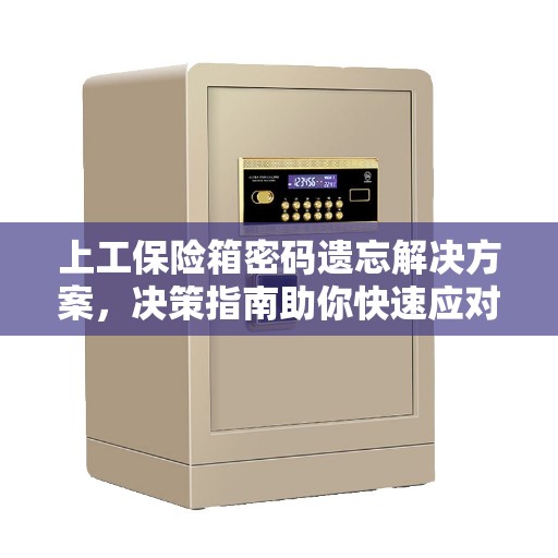 上工保险箱密码遗忘解决方案，决策指南助你快速应对