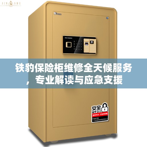 铁豹保险柜维修全天候服务，专业解读与应急支援