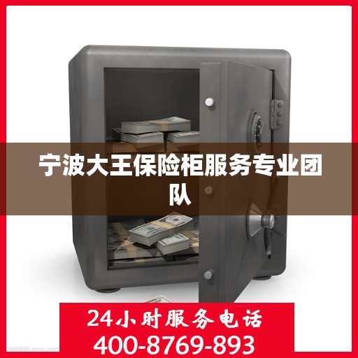 宁波大王保险柜服务专业团队