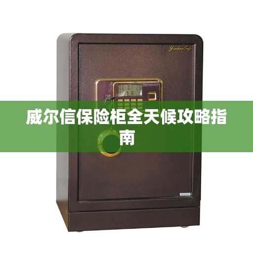 威尔信保险柜全天候攻略指南