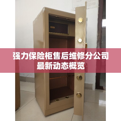 强力保险柜售后维修分公司最新动态概览