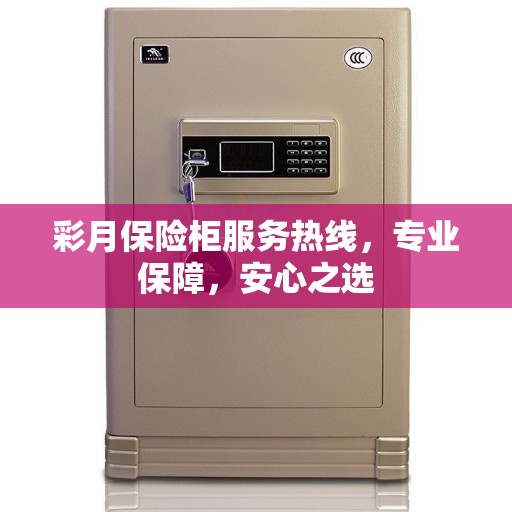 彩月保险柜服务热线，专业保障，安心之选