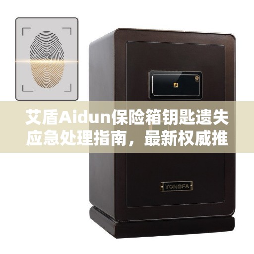 艾盾Aidun保险箱钥匙遗失应急处理指南，最新权威推荐解决方案