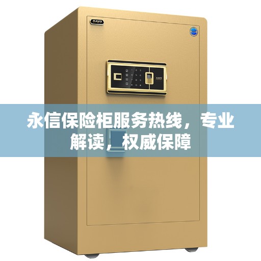 永信保险柜服务热线，专业解读，权威保障