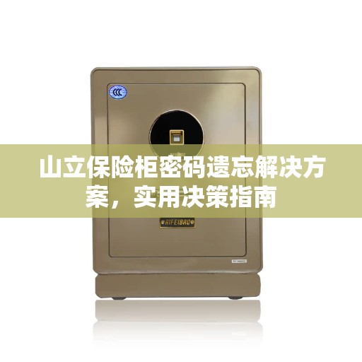 山立保险柜密码遗忘解决方案，实用决策指南