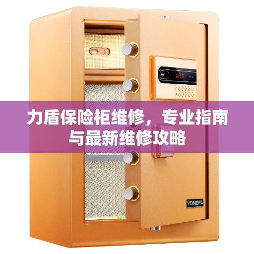 力盾保险柜维修，专业指南与最新维修攻略