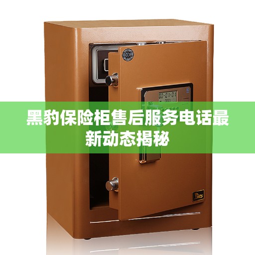 黑豹保险柜售后服务电话最新动态揭秘