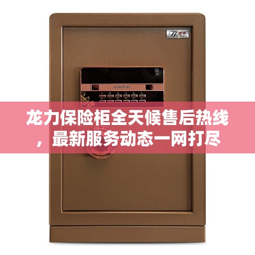 龙力保险柜全天候售后热线，最新服务动态一网打尽