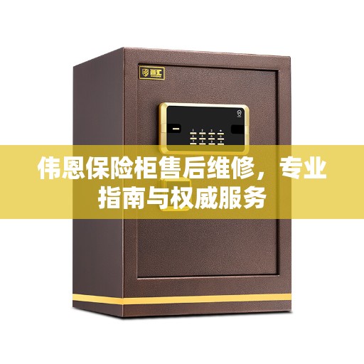 伟恩保险柜售后维修，专业指南与权威服务