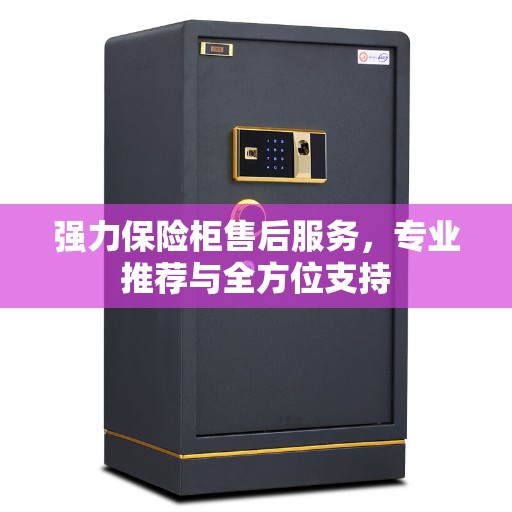 强力保险柜售后服务，专业推荐与全方位支持