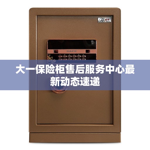 大一保险柜售后服务中心最新动态速递