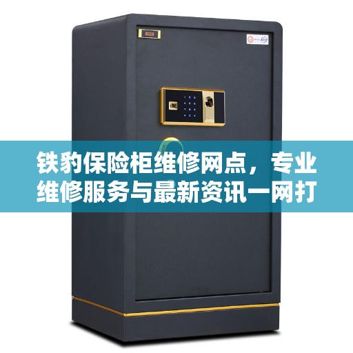 铁豹保险柜维修网点,专业维修服务与最新资讯一网打尽 铁豹保险柜维修网点,专业维修服务与最新资讯一网打尽