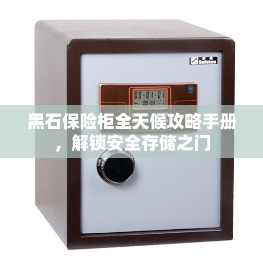 黑石保险柜全天候攻略手册，解锁安全存储之门