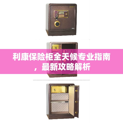 利康保险柜全天候专业指南，最新攻略解析