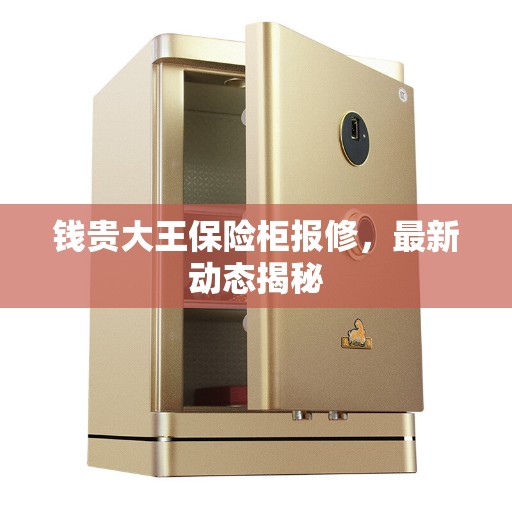 钱贵大王保险柜报修，最新动态揭秘