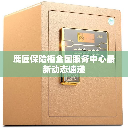 鹿匠保险柜全国服务中心最新动态速递