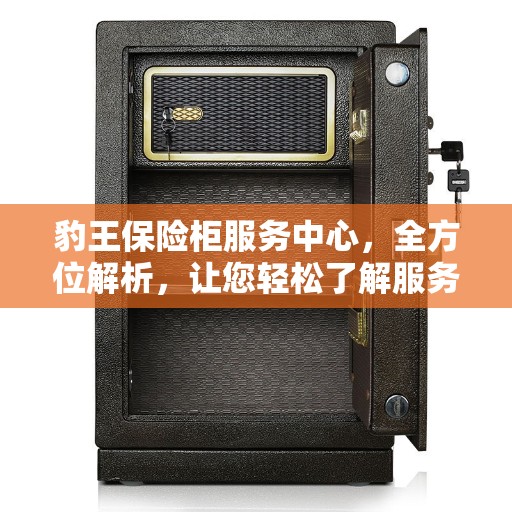 豹王保险柜服务中心，全方位解析，让您轻松了解服务细节