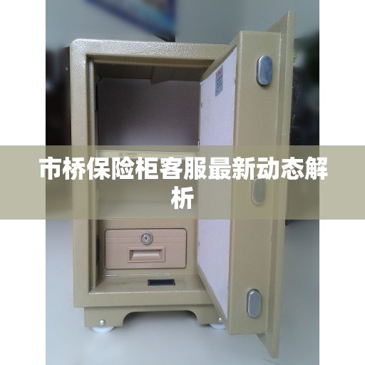 市桥保险柜客服最新动态解析