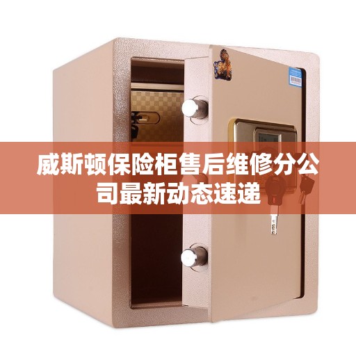 威斯顿保险柜售后维修分公司最新动态速递