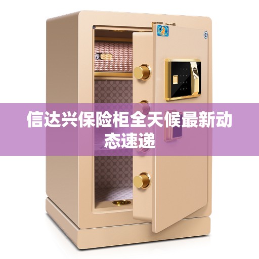 信达兴保险柜全天候最新动态速递