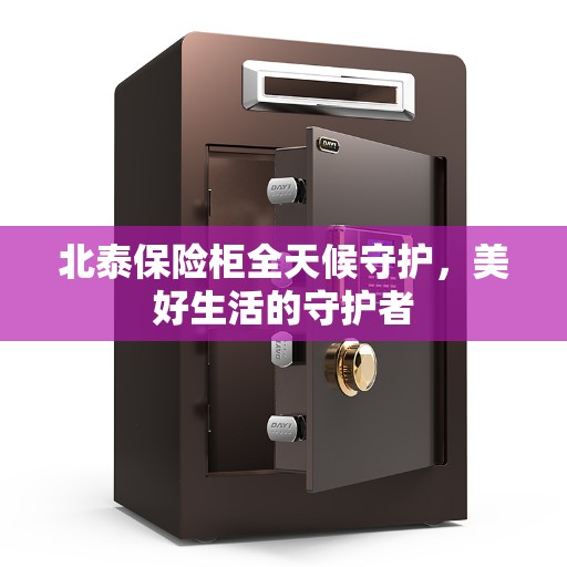 北泰保险柜全天候守护，美好生活的守护者