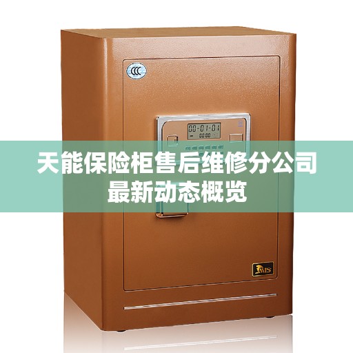 天能保险柜售后维修分公司最新动态概览