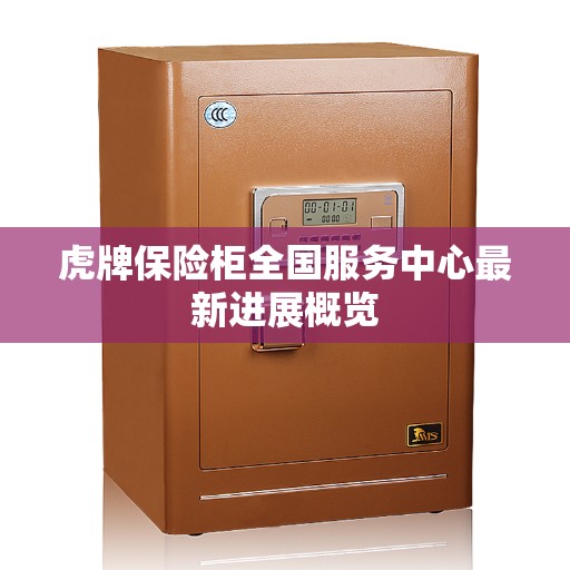 虎牌保险柜全国服务中心最新进展概览