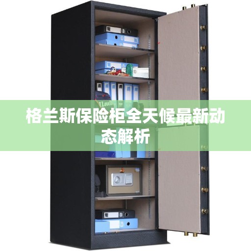 格兰斯保险柜全天候最新动态解析