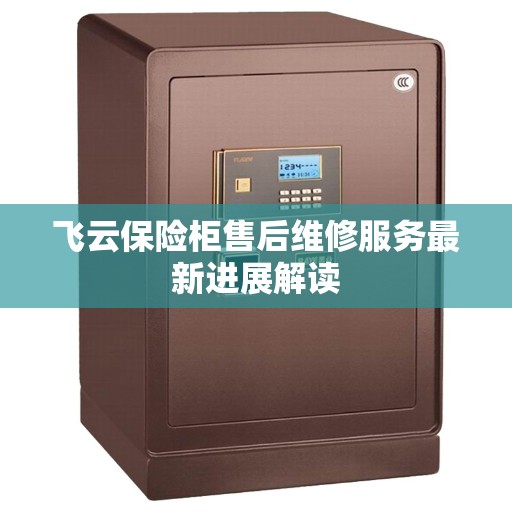 飞云保险柜售后维修服务最新进展解读