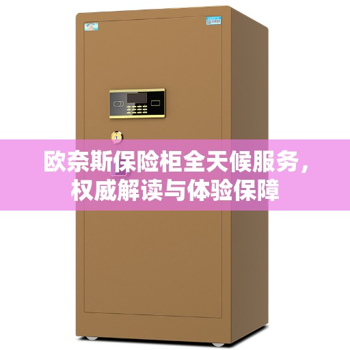 欧奈斯保险柜全天候服务，权威解读与体验保障