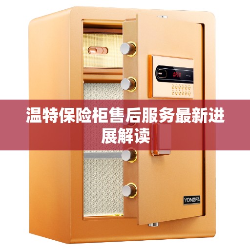 温特保险柜售后服务最新进展解读