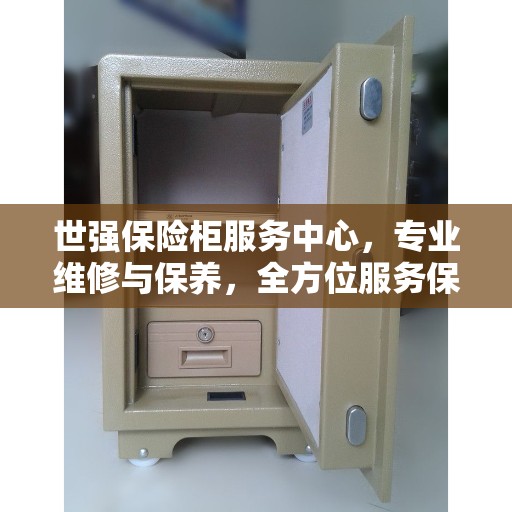 世强保险柜服务中心，专业维修与保养，全方位服务保障