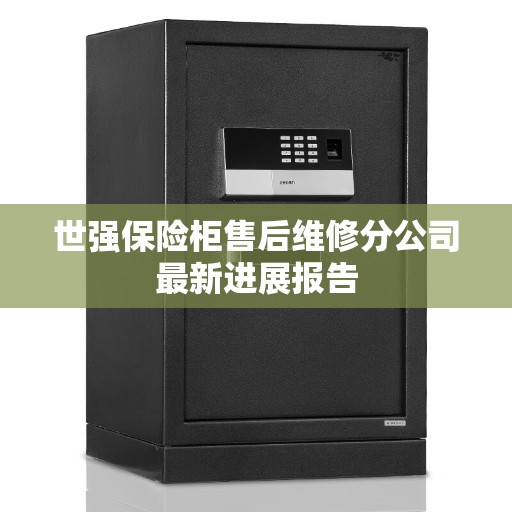 世强保险柜售后维修分公司最新进展报告