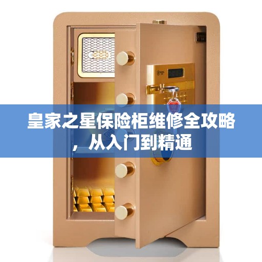 皇家之星保险柜维修全攻略，从入门到精通
