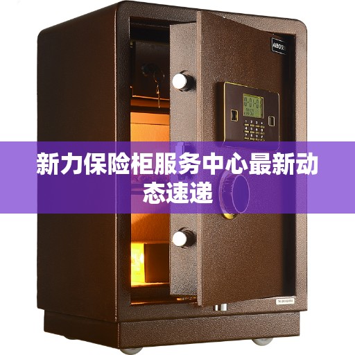新力保险柜服务中心最新动态速递