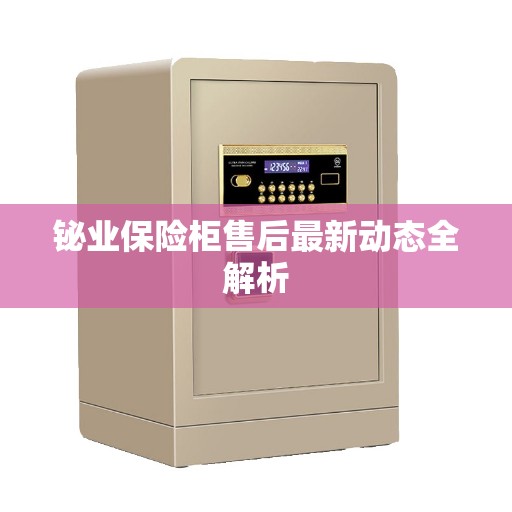 铋业保险柜售后最新动态全解析