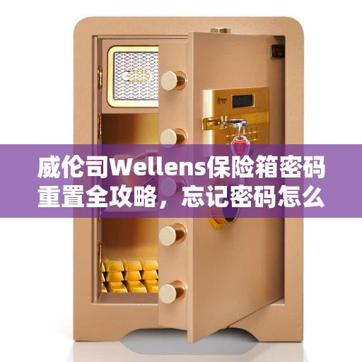 威伦司Wellens保险箱密码重置全攻略，忘记密码怎么办？
